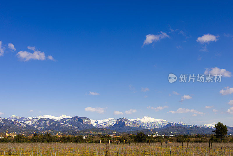 马略卡山上的雪与小村庄Santa Maria del camí和远处的藤蔓植物